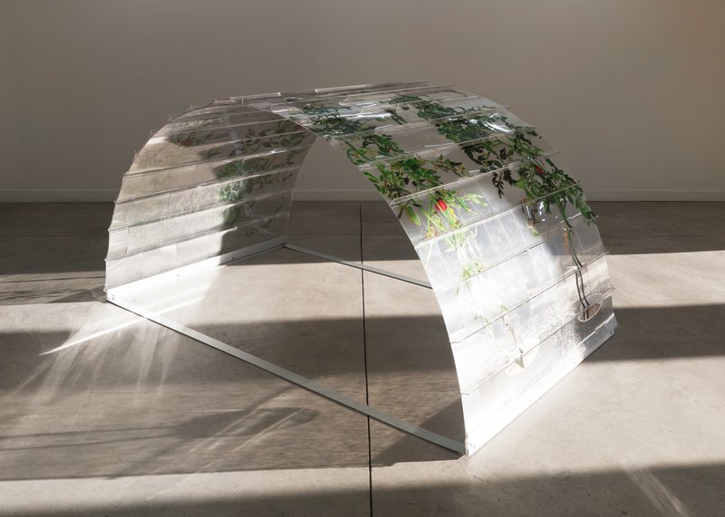 Alex Fischer, Vii 6000 Arch 15crop, 2015-02-26